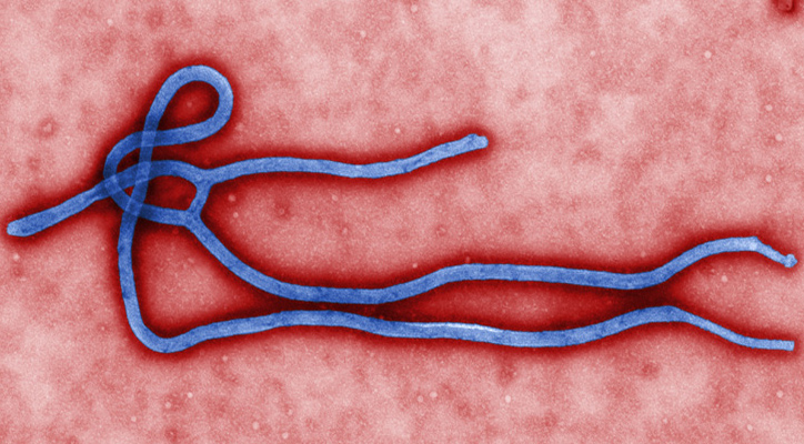 about-ebola2